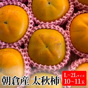 yӂ邳Ɣ[Łz` H` L`2LTCY 10`11ʓ  JL ʕ  t[c @͂F2025N10{`10{
