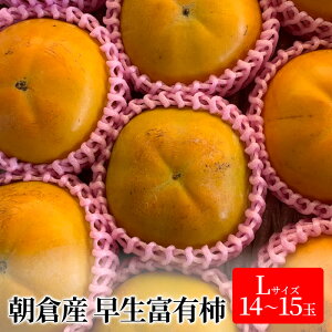 yӂ邳Ɣ[Łz` xL`  LTCY 14`15ʓ  JL ʕ  t[c @͂F2025N1025`1115