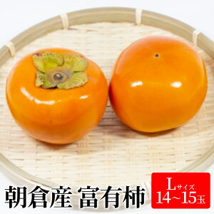 yӂ邳Ɣ[Łz` xL` LTCY 14`15ʓ  JL ʕ  t[c @͂F2025N11{`12{