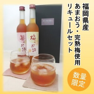 yӂ邳Ɣ[ŁzyʌzZ߂̂ ݔ 500ml×2{Zbgi䕂̂/~̂j m L[