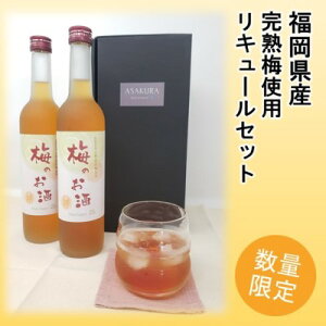 yӂ邳Ɣ[Łzyʌz~̂ 500ml×2{Zbg m L[