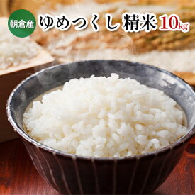 【ふるさと納税】米 10kg 精米 ゆめつくし　【お米・福岡県産】