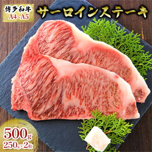 yӂ邳Ɣ[Łz T[CXe[L v500g a A4`A5 250g×2 Zbg zsF @͂FmF2Tԁ`1JB