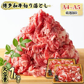 【ふるさと納税】限定 牛肉 A4～A5 博多 和牛 切落とし 合計1000g（500g×2p）計1kg 肩ロース 赤身 バラ カルビ 配送不可：離島 　お届け：入金確認後2週間～1カ月。