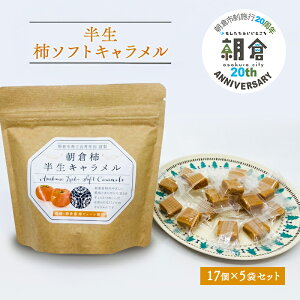 yӂ邳Ɣ[Łzyqss20Nz َq `L 17 80g×5 Zbg q` ` L \tgL