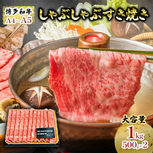 yӂ邳Ɣ[Łz I v1000g Ԃ Ă 500g×2p a A4`A5 Zbg zs  @͂FmF2Tԁ`1JB