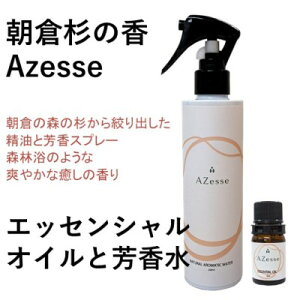 yӂ邳Ɣ[Łzq  Azesse GbZVICAzesse F A}ObY e  }bT[W
