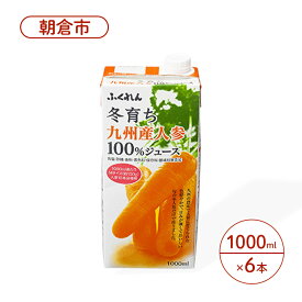 【ふるさと納税】にんじん ジュース 1000ml×6本 冬育ち 九州人参 100％ジュース ふくれん 人参 にんじんジュース 果汁飲料 飲料