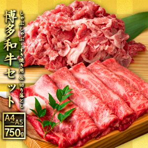 yӂ邳Ɣ[Łzʌ  a A4`A5 Ԃ Ă 750g ZbgiXCX 250gE؂藎Ƃ 500gjzsF @͂FmF2Tԁ`1JB