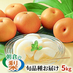 yӂ邳Ɣ[Łz G߂̒q̗ 5kg 6-18 zs  ʕ t[c fU[g  Y qsY H̖o K L H V 쐅 @͂F2025N8{`10{ɂ