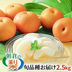 yӂ邳Ɣ[Łz G߂̒q̗ 2.5kg 2-6 zs  ʕ t[c fU[g  Y qsY H̖o K L H V 쐅 @͂F2025N8{`10{ɂ