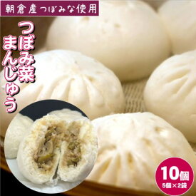 【ふるさと納税】つぼみ菜まんじゅう 10個（80g×5個入×2袋）冷凍 肉まん 豚まん 惣菜 蕾菜 野菜 電子レンジ ※配送不可：離島　【 パン 漬物 加工食品 コリコリ 食感 辛み 大人感 ふっくら 】