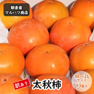yӂ邳Ɣ[Łz󂠂 ` H` M`2LTCY×13 }ncX zsF ʕ t[c H̖o  fU[g Yn  ʏ`   Y qsY @͂