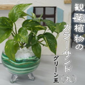 yӂ邳Ɣ[ŁzJ[ThiKXԊFہjO[n A CeA     Lb` ʏ ی^ O[CeA 񂹐A
