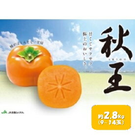 【ふるさと納税】柿 秋王 あきおう 約2.8kg 9～14玉 果物 フルーツ デザート かき オンライン決済限定 配送不可:離島 　お届け：2026年10月下旬～11月中旬