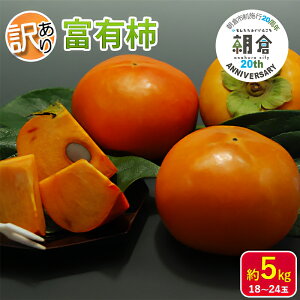 yӂ邳Ɣ[Łzyqs{s20NLOz 󂠂 ` xL` 5kg 18`24 zs  ʕ t[c H̖o { fU[g ʎ `̉l Ê` \i q̊`  @͂
