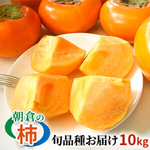 yӂ邳Ɣ[Łz` q̊`͂߂܂BG߂̒q̊` 10kg 36-40 zs  ʕ t[c H̖o { fU[g ʎ  i I ͂ @͂F2025N10{