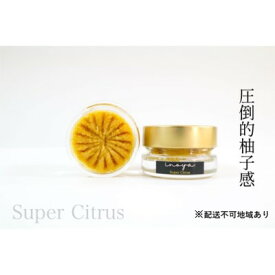 【ふるさと納税】いのや。の柚子胡椒＜黄Super Citrus＞60g※配送不可：離島　【 調味料 アクセント フルーティー 辛みが少ない 果実感 パスタ 鍋料理 揚げ物 ドレッシング 】