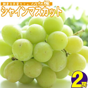 yӂ邳Ɣ[ŁzVC}XJbg 2[ Cafe VC }XJbg Ԃǂ uhE ʕ t[c fU[g @͂F2026N8{`9{