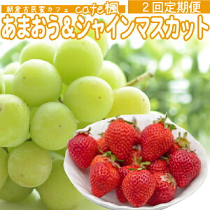 �y�ӂ邳�Ɣ[�Łz����� 2�� ���܂��� �V���C���}�X�J�b�g �Z�b�g �� Cafe �� �� �V���C�� �}�X�J�b�g ������ �ʕ� �t���[�c �z���s�F�k�C���E���k�E����E���� �@���͂��F���܂���2026�N1��