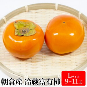 yӂ邳Ɣ[Łz` ① xL` LTCY 9`11ʓ  JL ʕ  t[c zs  @͂F2025N1220`2026N1{