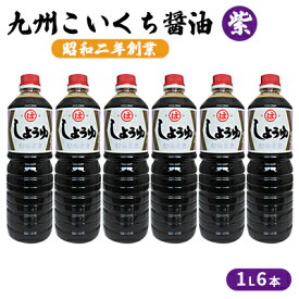 【ふるさと納税】醤油 九州こいくち 紫 1L×6本 調味料 液体調味料 料理 調理 味付け 自炊 おうちごはん 和食