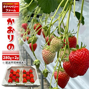 yӂ邳Ɣ[Łz  280g×2pbN zs kC k ʕ t[c  fU[g H iȍ _Ȃ Yn Y @͂F2026N1{`3{