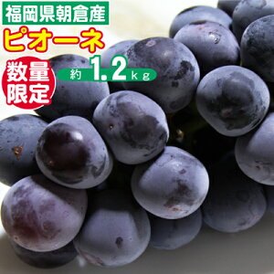 yӂ邳Ɣ[ŁzԂǂ sI[l s\ 2`4[ 1.2kg zs  ʕ t[c fU[g H  ` Â _ Yn Y qsY @͂F2026N9{`10