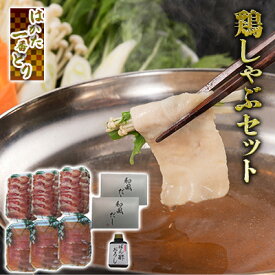 【ふるさと納税】鍋 鶏しゃぶ はかた一番どり セット 配送不可 離島　【 お肉 鶏肉 おいしい 新提案 あっさり 食べやすい ヘルシー しっとり オリジナル スープ 】