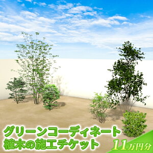 yӂ邳Ɣ[ŁzA؂̎{H`Pbg 11~ A O[ r }V  GgX fUC A؎{H  T[rX O[R[fBl[g