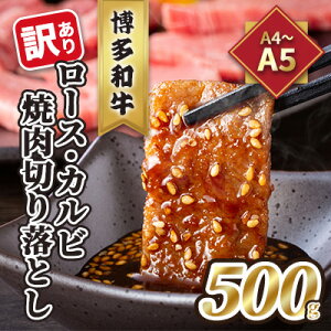 yӂ邳Ɣ[Łz󂠂IA4`A5 a [XEJr ē ؂藎Ƃ 500g zs    ㎿@͂FmF2Tԁ`1JB