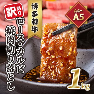 yӂ邳Ɣ[Łz󂠂IA4`A5 a [XEJr ē ؂藎Ƃ 1kg 500g×2p zs    ㎿  @͂FmF2Tԁ`1JB