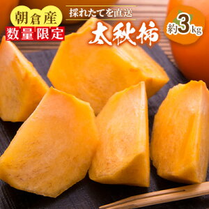 yӂ邳Ɣ[Łzys\z` H` 3kg  ʕ t[c ʕ ʎ fU[g  H H̖o {̉ʕ G߂̖ Y {Y @͂F2026N10{`10{