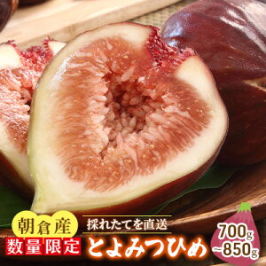 �y�ӂ邳�Ɣ[�Łz�������� �Ƃ�݂Ђ� 700g�`850g ���q�Y �z���s�� �k�C�� ���k ���� ���� �ʕ� �t���[�c ��i�ȊÂ� �Ƃ낯�� �炲�� �H�ׂ₷�� �嗱 �����i �@���͂��F2026�N8��1���`9��30��