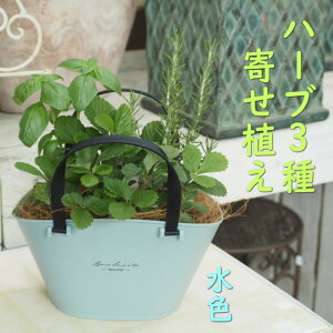 yӂ邳Ɣ[Łzn[u A EݎĎg VN n[u 3̊񂹐A v F c  ֐ x_ A CeA O[ACe n[ů񂹐A  Ă₷