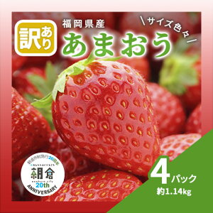 yӂ邳Ɣ[Łzyqs{s20NLOz 󂠂  2026N3{蔭 ܂ TCYFX 4pbN 1.14kg zs  ʕ t[c Y܂ @͂F2026N