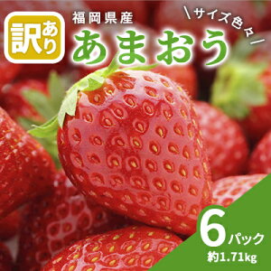 yӂ邳Ɣ[Łz󂠂  2025N2{蔭 ܂ TCYFX 6pbN 1.71kg zs  ʕ t[c Y܂ @͂F2026N2{`3