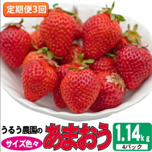 yӂ邳Ɣ[Łz 3   2025N2`4 邤_̂܂ TCYFX 4pbN 1.14kg zs  ʕ t[c S S  Hׂ₷ @͂F2026
