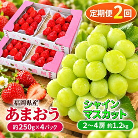 【ふるさと納税】定期便 2回 2027年 いちご シャインマスカット セット あまおう スタンダード 4パック 約1kg シャインマスカット 2～4房 約1.2kg 配送不可 離島 フルーツ 　お届け：あまおう:2027年3月　シャインマスカット:2027年9月