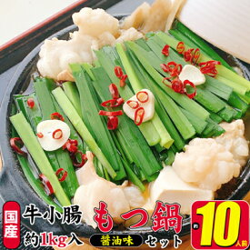 【ふるさと納税】もつ鍋 セット 醤油 約10人前 国産 牛 小腸 1000g（牛小腸 200g×5p）濃縮 スープ 50g×5p モツ鍋 肉 もつ 牛肉 お肉 配送不可 離島　【 国産モツ 鍋物 鍋料理 冬 夕飯 晩御飯 忘年会 鍋パーティー 】