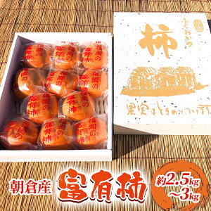 yӂ邳Ɣ[Łz` xL` 2.5kg`3kg  ʕ t[c fU[g zsF @͂F2025N11{`12{