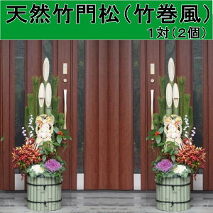 yӂ邳Ɣ[Łz叼 VR| | 1(2) :120cm  zs:kCAA @͂F2025N1220`1225
