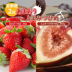 �y�ӂ邳�Ɣ[�Łz����� 2�� ���܂��� �������� �Z�b�g ������ 18���`30�� �Ƃ�݂Ђ� 700g�`850g �ʕ� �t���[�c �z���s��:�k�C�� ���k ���� ���� �@���͂��F���܂����F2026�N1���`3�����{�A��