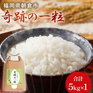 �y�ӂ邳�Ɣ[�Łz�� 5kg �b���� ��Ղ̈ꗱ 5kg×1 �ߘa7�N�Y ���� ���� �R�� �V�i�� �@���͂��F�`2026�N10��15��