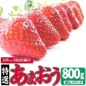 【ふるさと納税】定期便 3ヶ月 いちご あまおう 800g 特選 あまおう 2027年2月より発送 イチゴ 苺 フルーツ 果物 デザート 3回 お楽しみ ※配送不可：離島 　お届け：2027年2月～4月