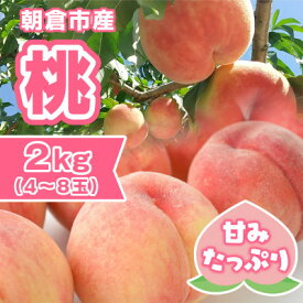 【ふるさと納税】【ふるさと納税】桃 朝倉市産 約2kg 4～8玉 もも モモ 果物 デザート ※配送不可：離島　【朝倉市】　お届け：2024年6月30日～8月4日　【朝倉市】　お届け：2024年6月30日～8月4日