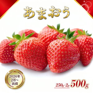 yӂ邳Ɣ[Łz Y ܂ 500g (250g×2pbN) s\ 2025N2菇 ʕ fU[g zsF @͂F2026N210`320