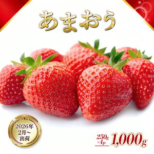 yӂ邳Ɣ[Łz Y ܂ 1000g (250g×4pbN) s\ 2025N2菇 ʕ fU[g zsF @͂F2026N210`320