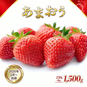 yӂ邳Ɣ[Łz Y ܂ 1500g (250g×6pbN) s\ 2025N2菇 ʕ fU[g zsF @͂F2026N210`320