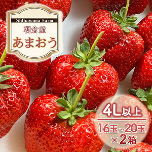 yӂ邳Ɣ[Łz qsY ܂ 4Lȏ 16ʁ`20×2 C`S  ʕ fU[g Shibayama Farm zsF @͂F2025N12{`2026N3{
